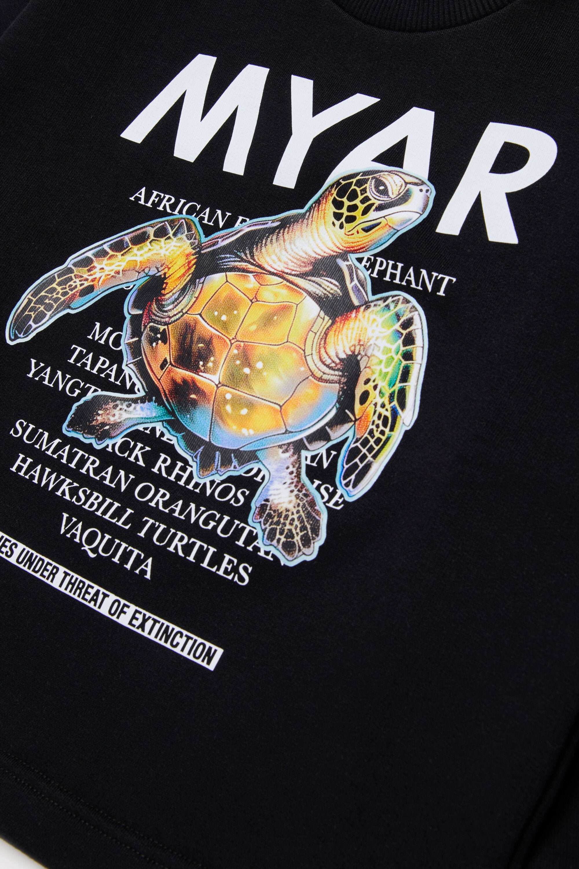 Sweatshirt mit Rundhalsausschnitt und Grafikdruck