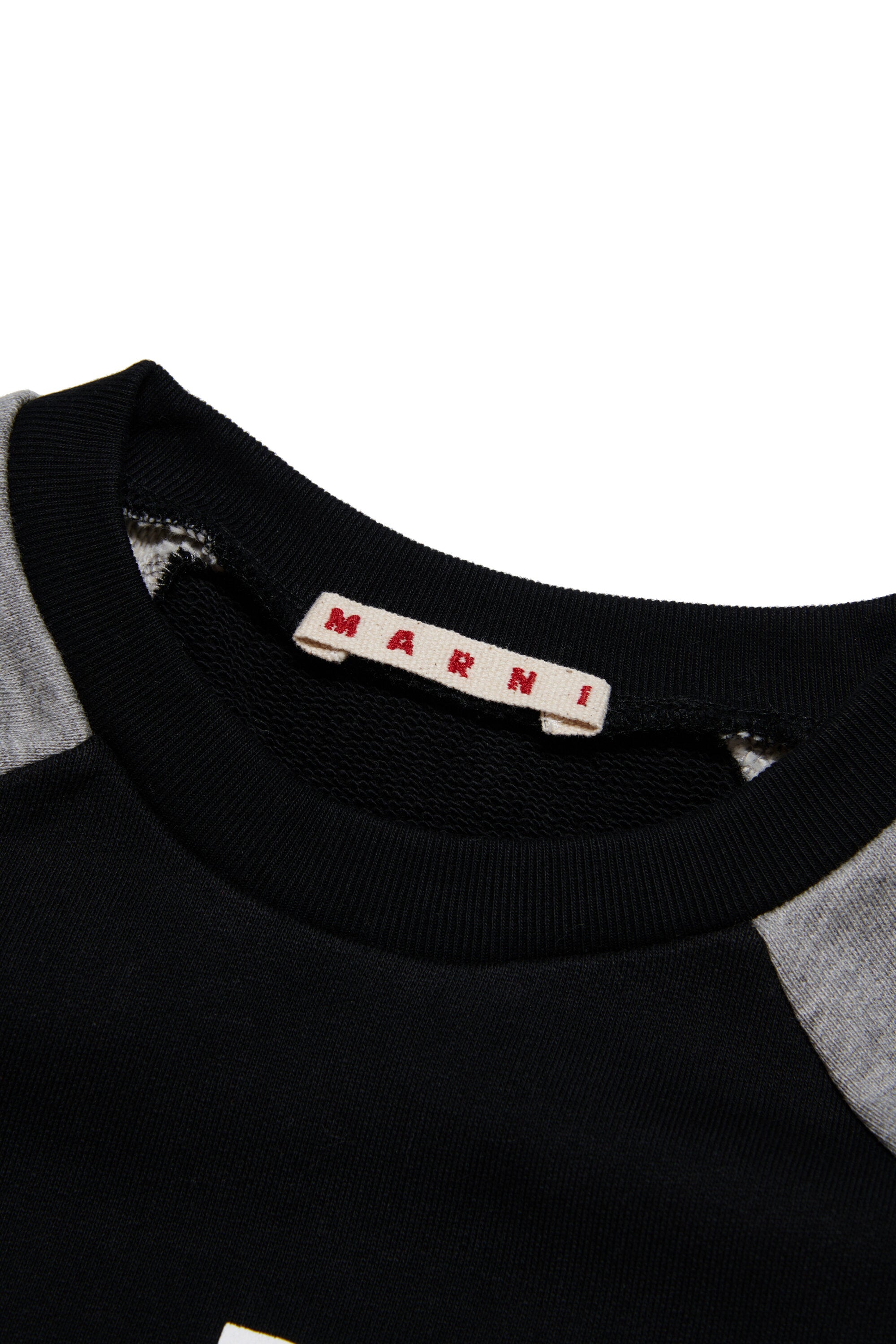 Colorblock cotton crew-neck sweatshirt with logo